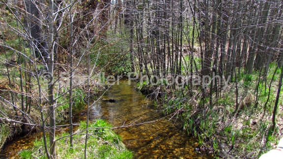 http://www.sandlerphotography.com/Photos/Yosemite May 2010 235 -2 -LR.JPG